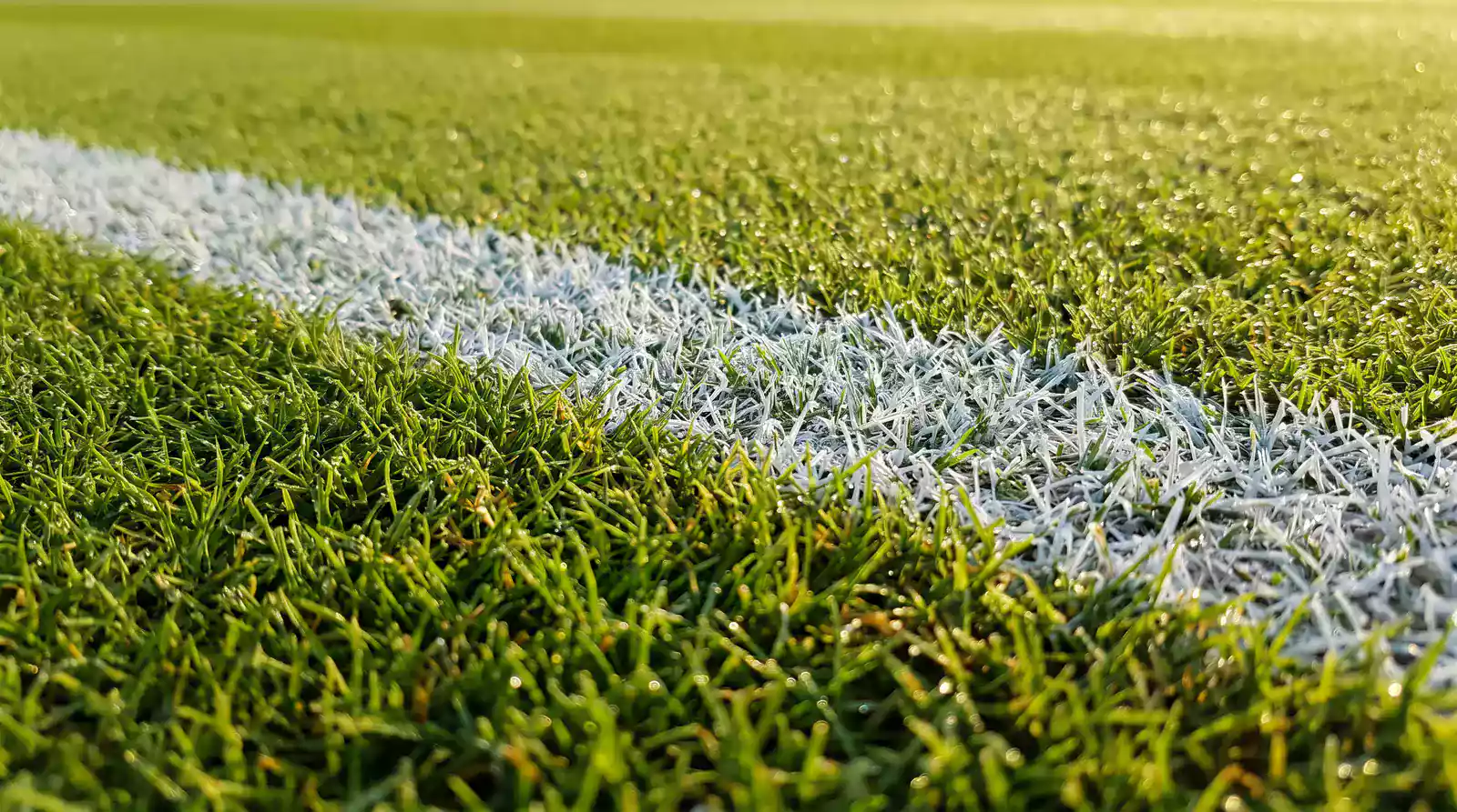 Close-up of Wimbledon grass court surface showing natural turf texture and baseline markings